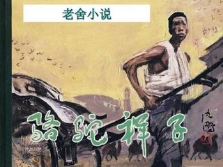 女士中医营养精油spa诱导